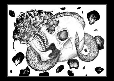 Flower Snake and Skull