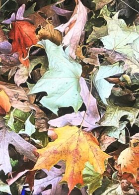 Mid October Fall Leaf Pile
