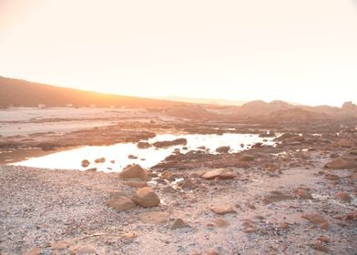 Cape Columbine South Afric