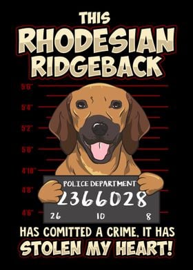 Rhodesian Ridgeback