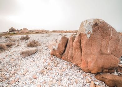 Cape Columbine South Afric