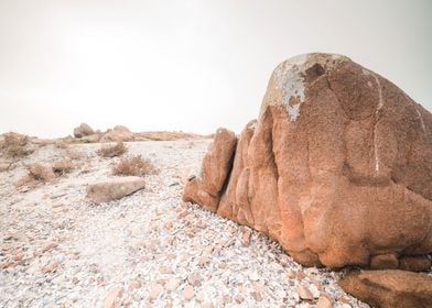 Cape Columbine South Afric