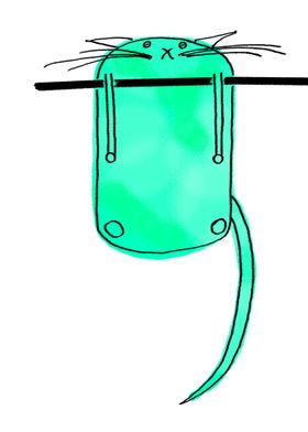 Hanging Green Cat