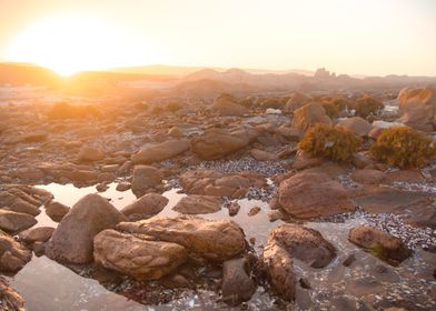 Cape Columbine South Afric