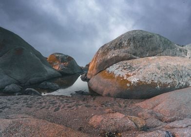 Cape Columbine South Afric