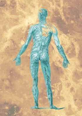 Anatomy Design-preview-2