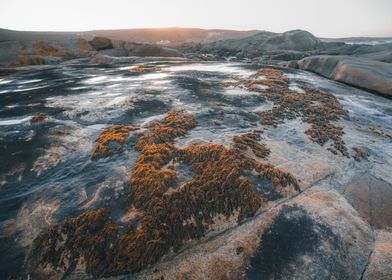 Cape Columnbine SA