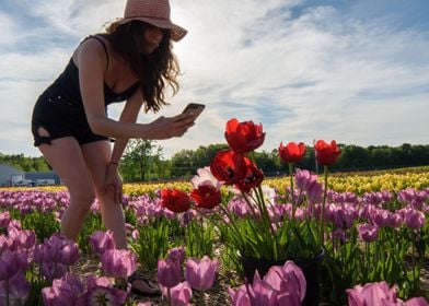 Beauty in a Tulip Field