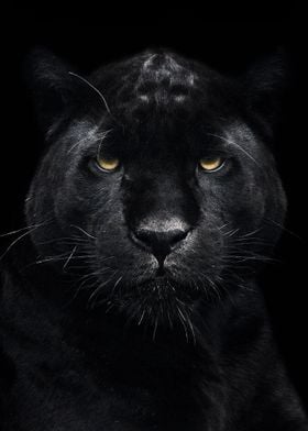 Black panther poster