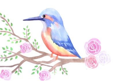 Kingfisher and pink roses 