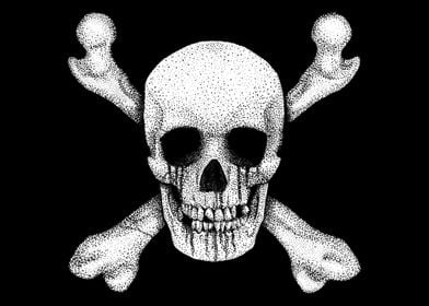 Jolly Roger Pirate Skull