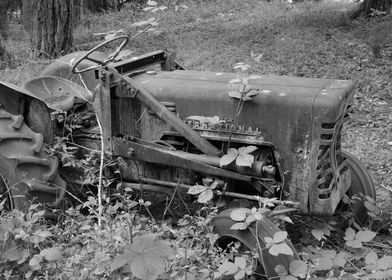 Old International Tractor