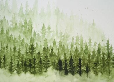 Misty forest edge