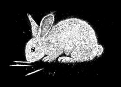 Bad Habit Bunny Rabbit