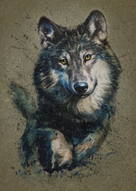 Wolf background