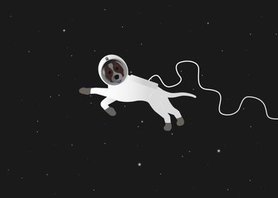 The space dog spacewalk