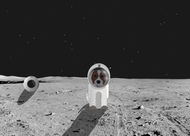 The space dog on the moon