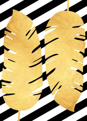 Tropical and golden XI