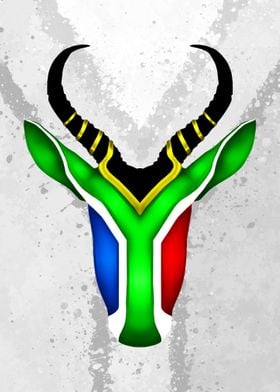 South African Springbok