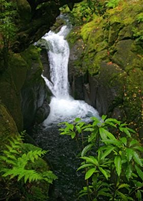 Waterfall in the forest