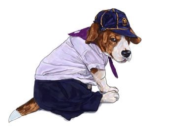 Beagle dog wear student s