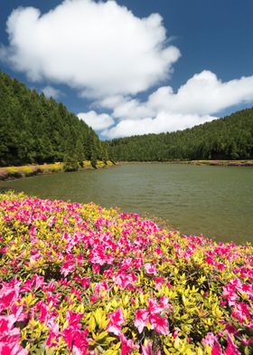 Empadadas Lakes