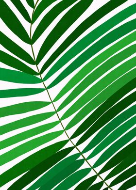 Colorful tropical leaf IX
