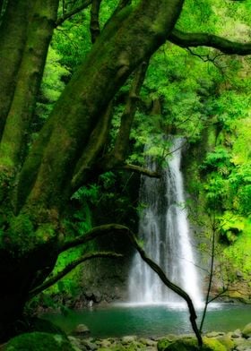 Waterfall in Azores