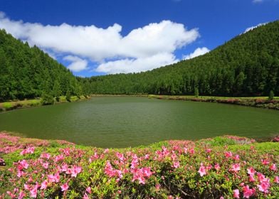 Empadadas Lakes