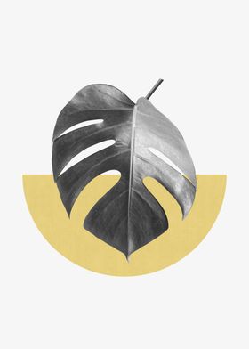 Tropical and golden VI