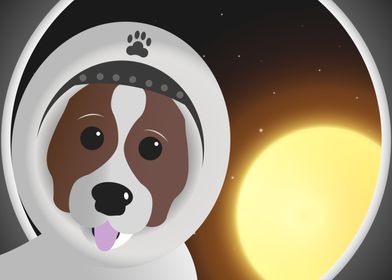 The space dog selfie