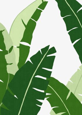 Colorful tropical leaf V