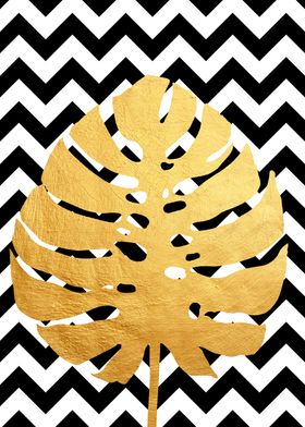 Tropical and golden X