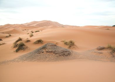  Sahara Desert Morocco