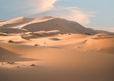  Sahara Desert Morocco