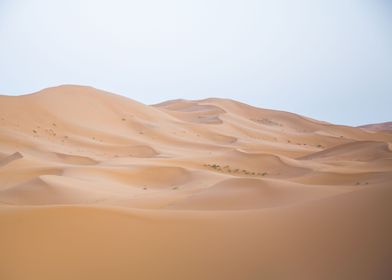 Sahara Desert Morocco 