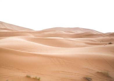 Sahara Desert Morocco 