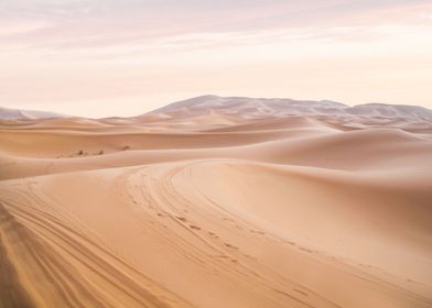  Sahara Desert Morocco