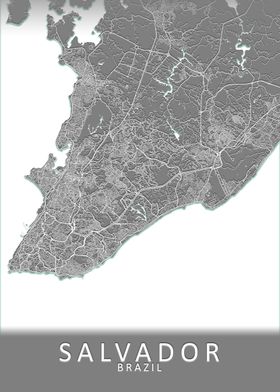 Salvador Brazil City Map
