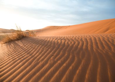  Sahara Desert Morocco