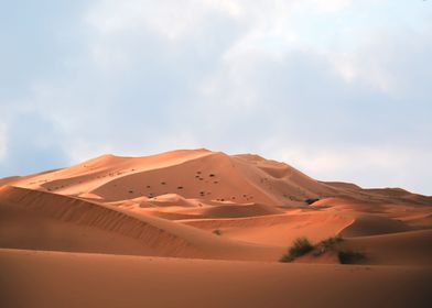  Sahara Desert Morocco