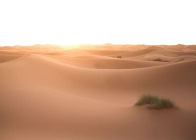  Sahara Desert Morocco