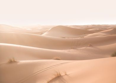  Sahara Desert Morocco