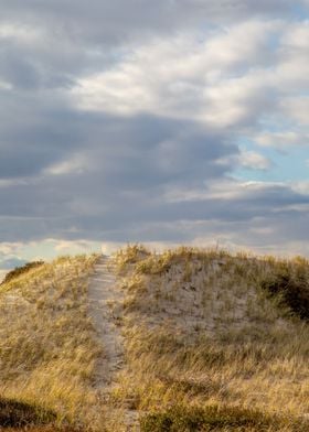 Beach Trail