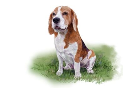 Beagle dog sitting on gree