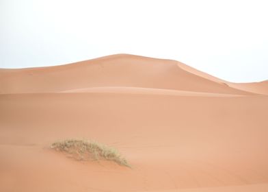 Sahara Desert Morocco 