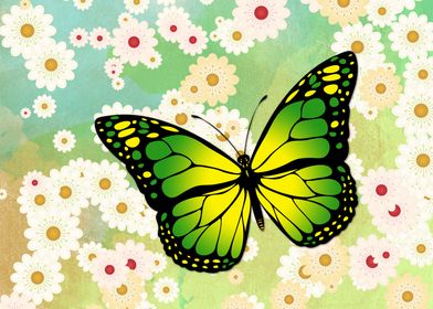 Green butterfly