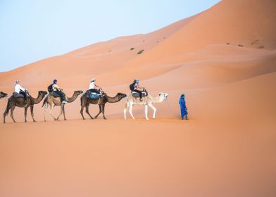  Sahara Desert Morocco