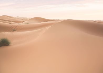  Sahara Desert Morocco