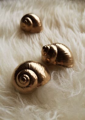 Golden snails fur